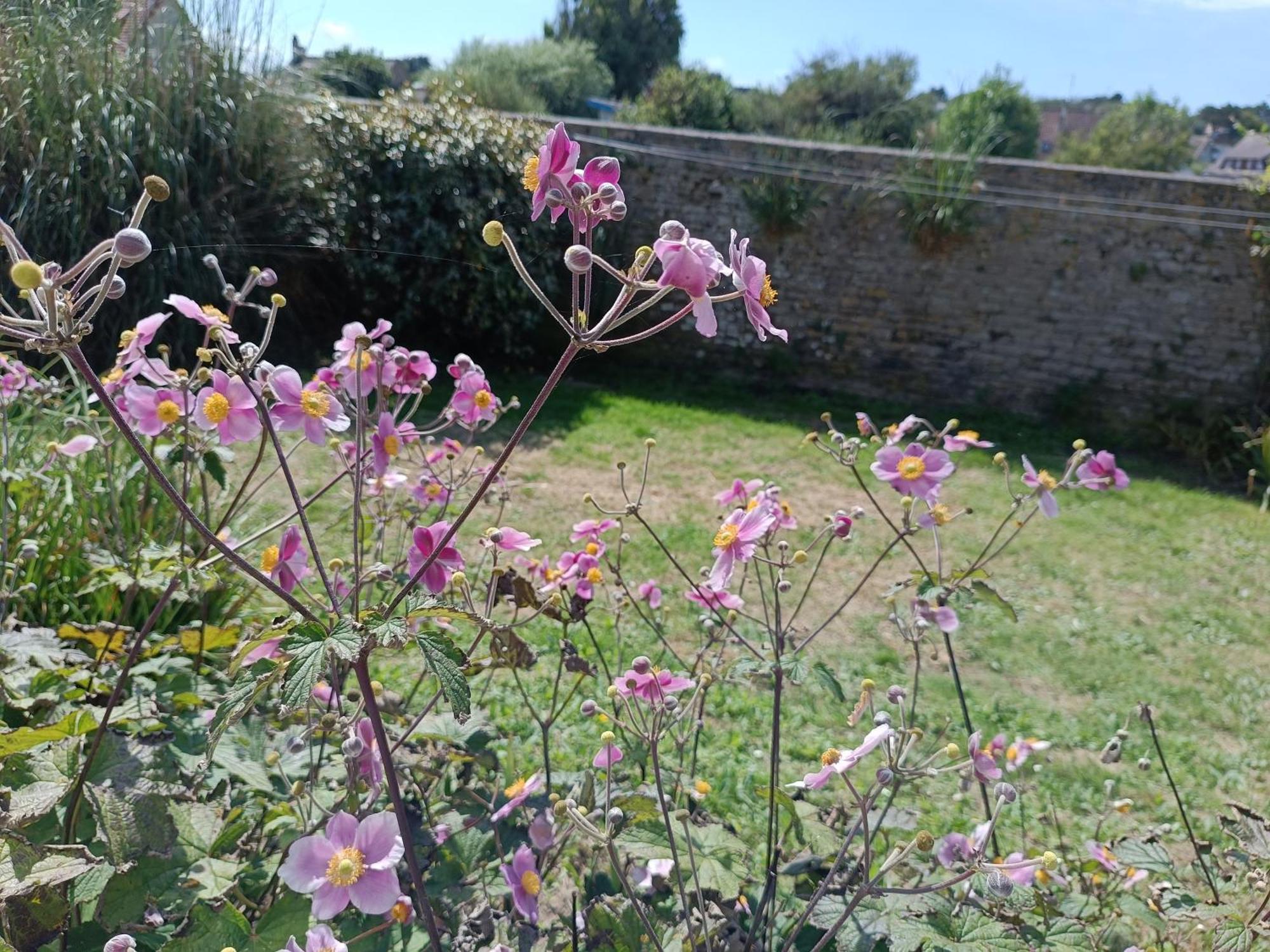 Villa Belle Vie A 30 Metres De La Plage Ver-sur-Mer Kültér fotó